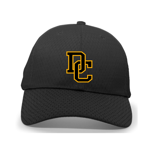 DC Queen Bees - DC Hat