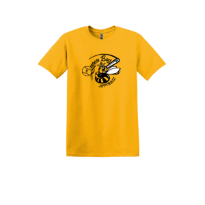 DC Queen Bees Design 2