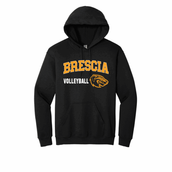 Brescia VB - Hoodie - Image 2