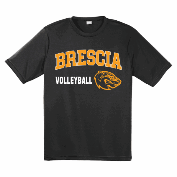 Brescia VB - Dri-FIT Short Sleeve T-Shirt