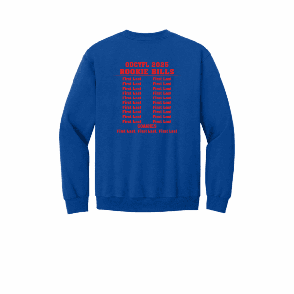 ODCYFL - Rookie Bills - Image 10