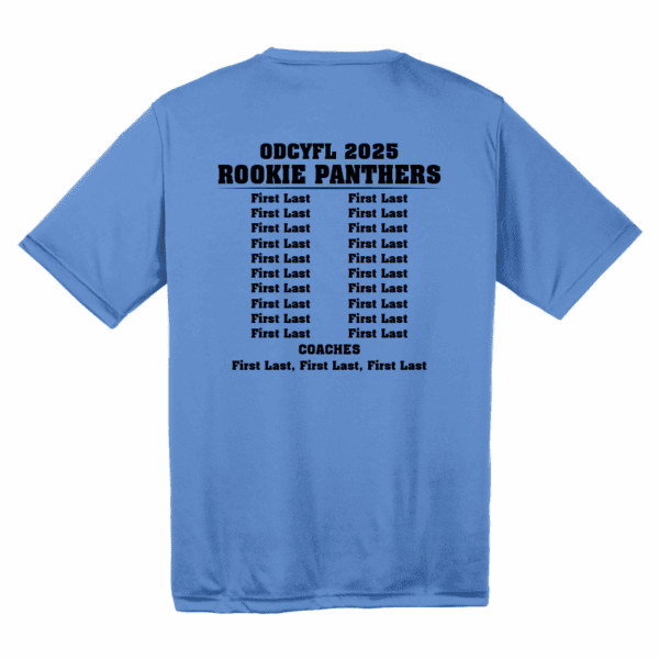 ODCYFL - Rookie Panthers - Image 2