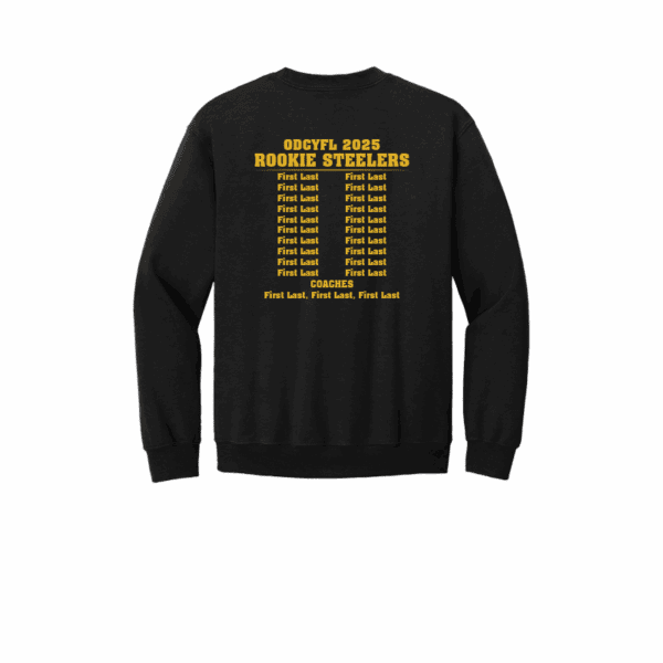 ODCYFL - Rookie Steelers - Image 10