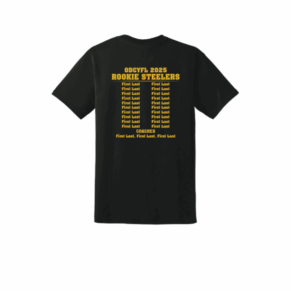 ODCYFL - Rookie Steelers - Image 6