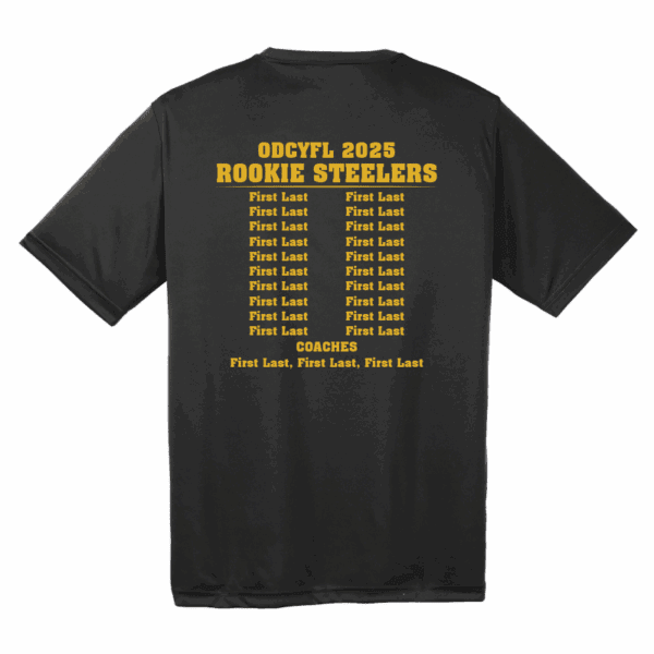ODCYFL - Rookie Steelers - Image 2