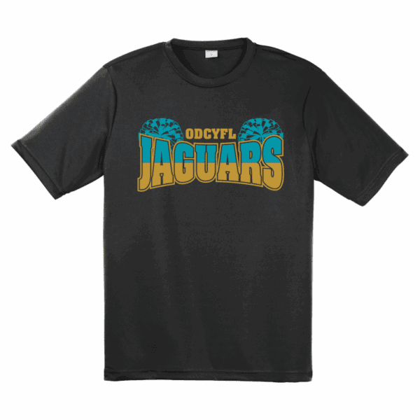 ODCYFL - JV Jaguars Cheer