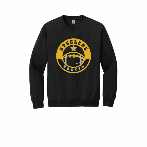 ODCYFL - Rookie Steelers - Image 9